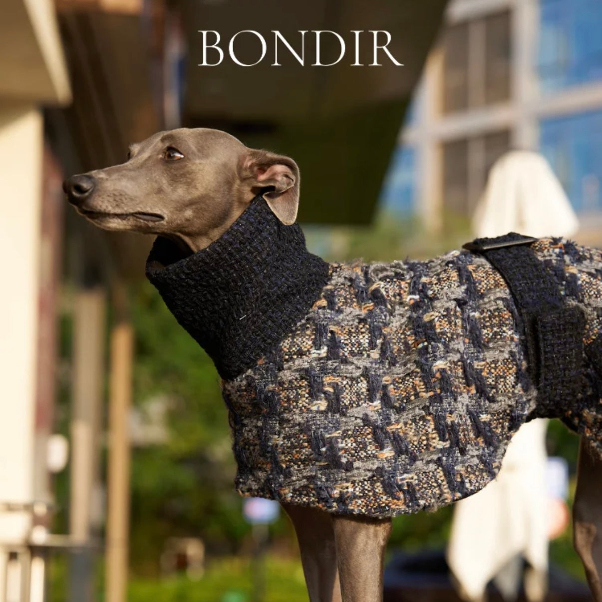 BONDIR Blurred Vision Matching Dog Coat