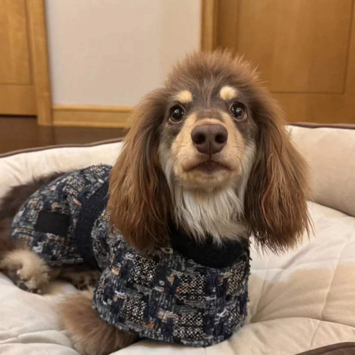 BONDIR Blurred Vision Matching Dog Coat