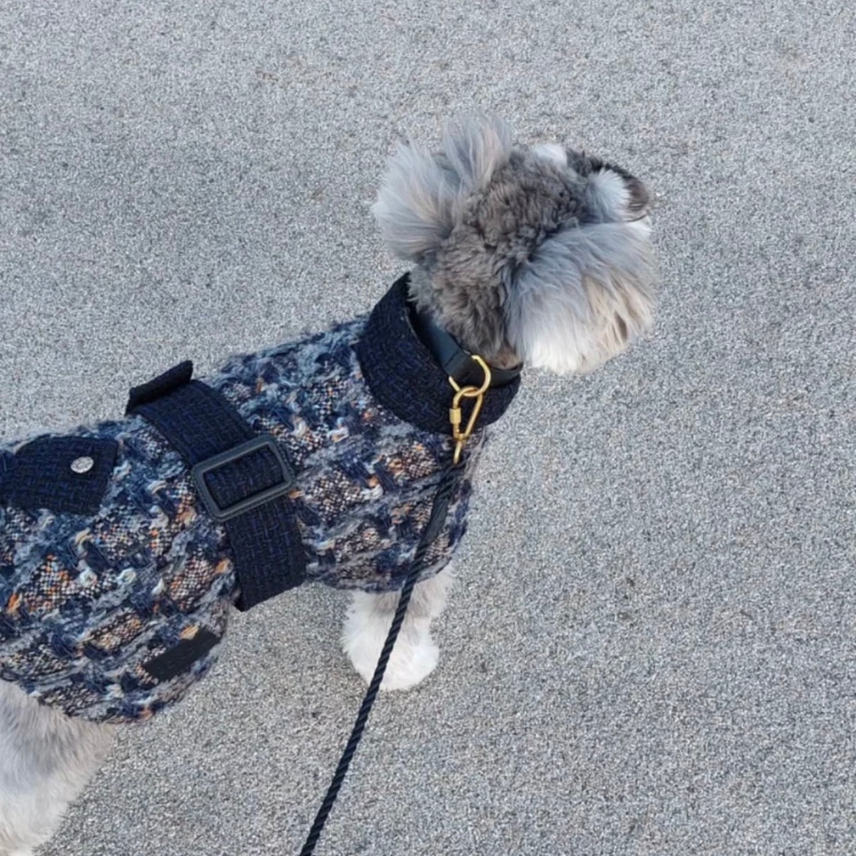BONDIR Blurred Vision Matching Dog Coat