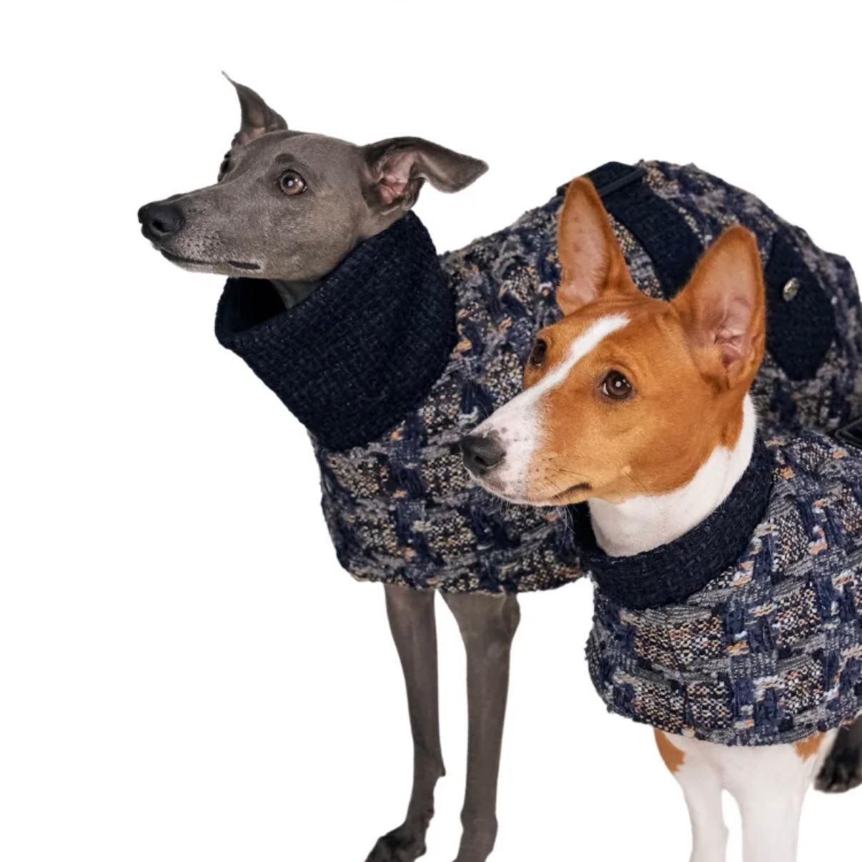 BONDIR Blurred Vision Matching Dog Coat