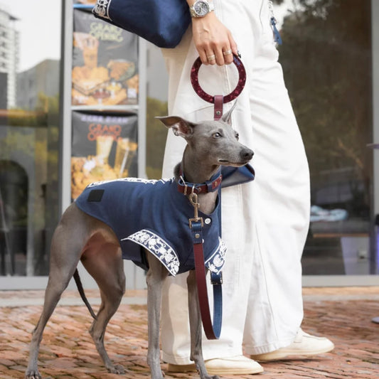 BONDIR Luxury Reversible Leather Leash Set