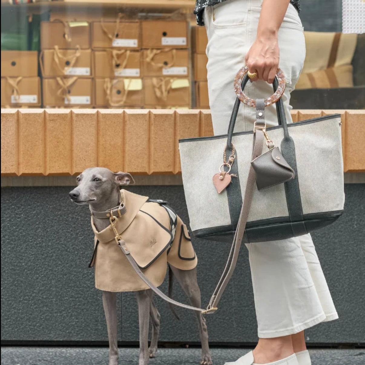 BONDIR Luxury Reversible Leather Leash Set