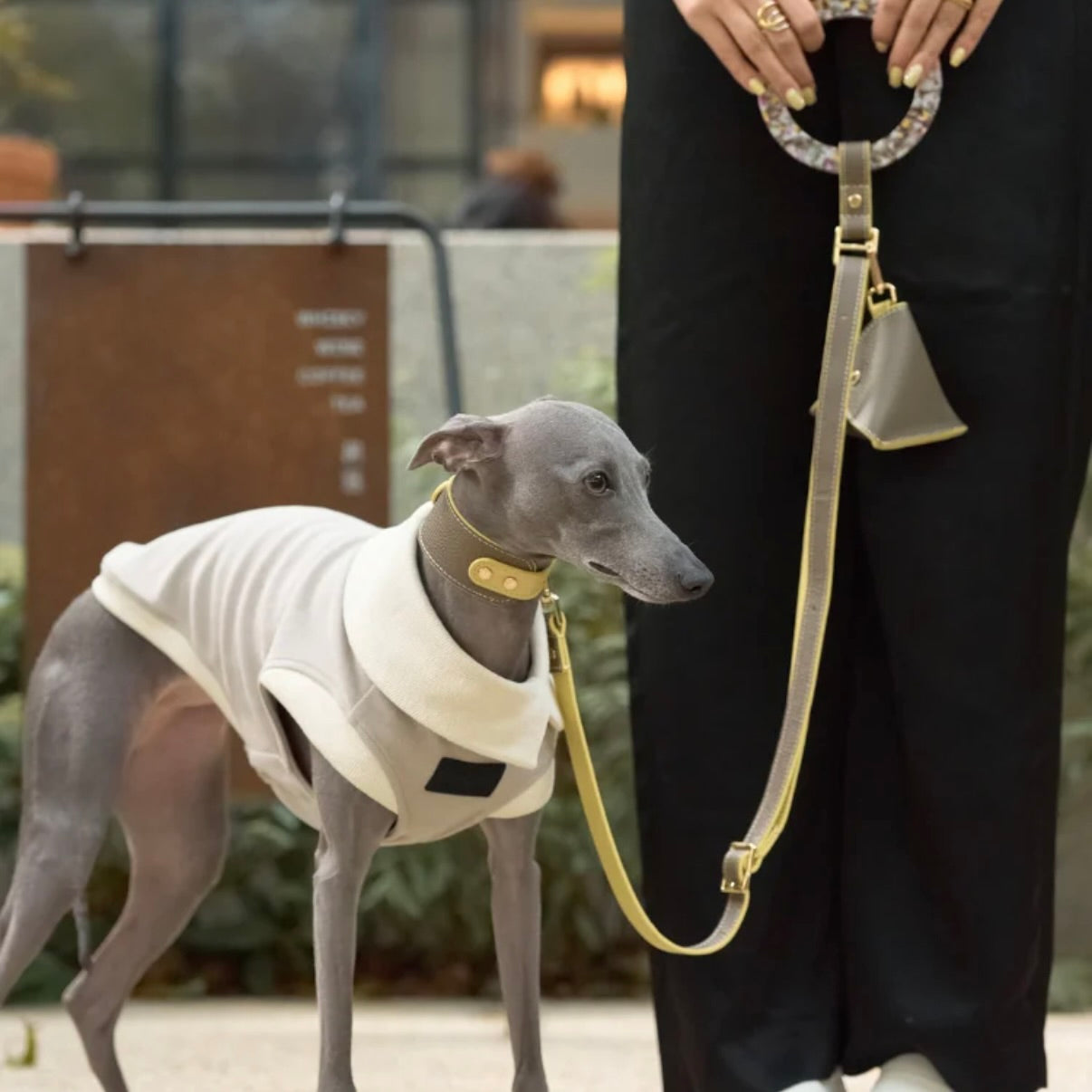 BONDIR Luxury Reversible Leather Leash Set