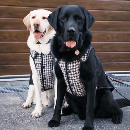 BONDIR Houndstooth Pet Vest