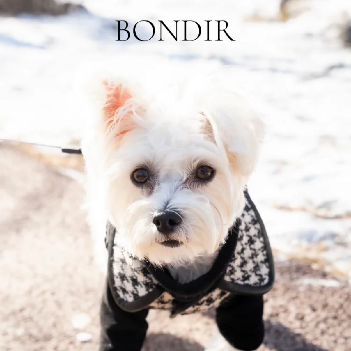 BONDIR Houndstooth Pet Vest