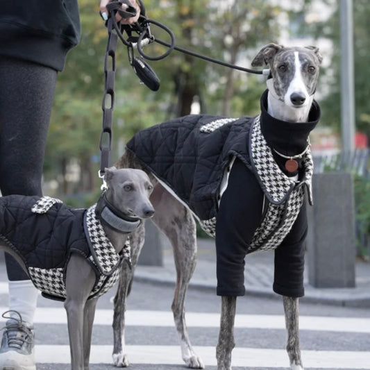 BONDIR Houndstooth Pet Vest