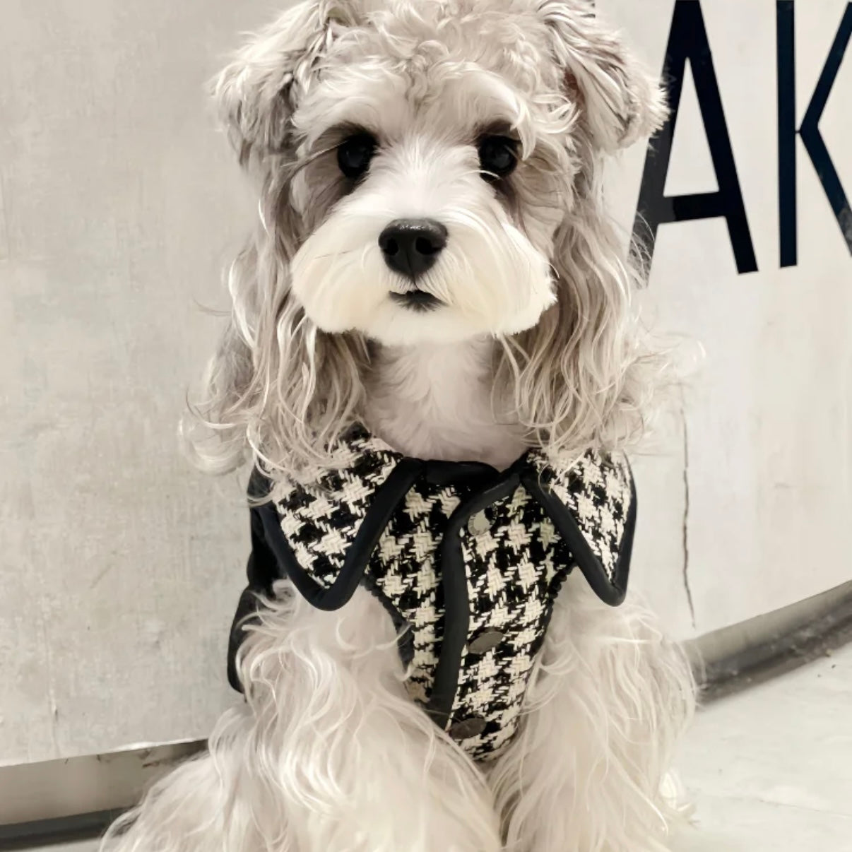 BONDIR Houndstooth Pet Vest