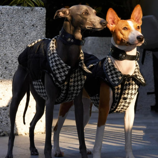 BONDIR Houndstooth Pet Vest