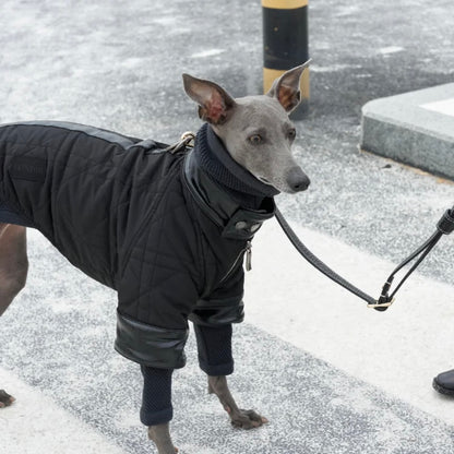 Chaqueta para perros con ribetes de cuero Bondir Utility
