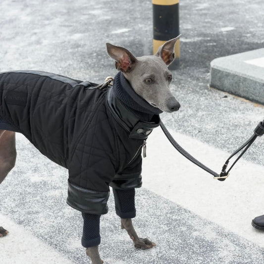 BONDIR Utility Leather-Trim Dog Jacket