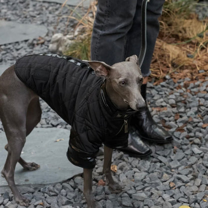 Chaqueta para perros con ribetes de cuero Bondir Utility