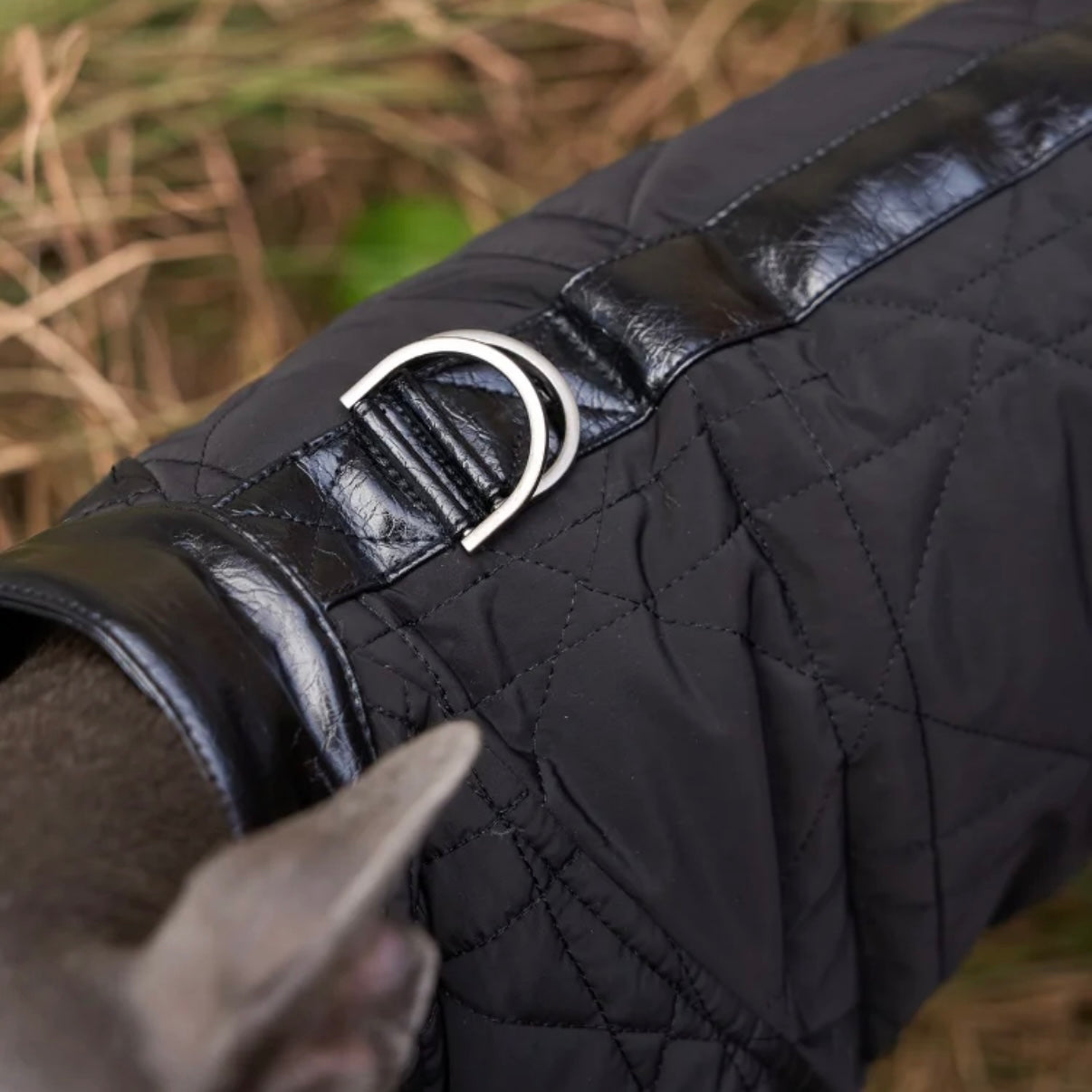 BONDIR Utility Leather-Trim Dog Jacket
