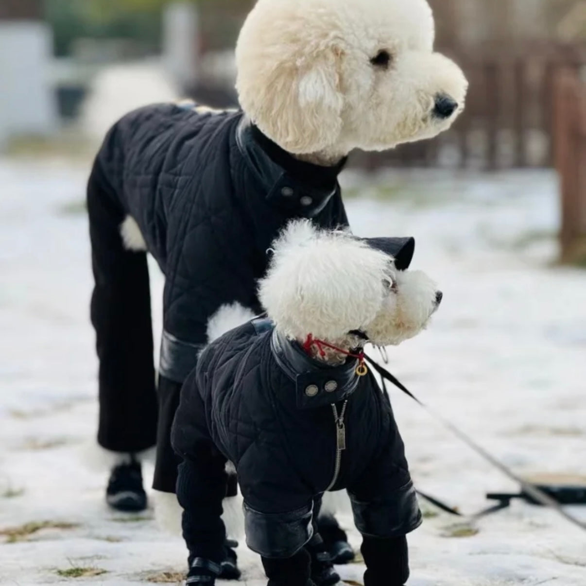 BONDIR Utility Leather-Trim Dog Jacket