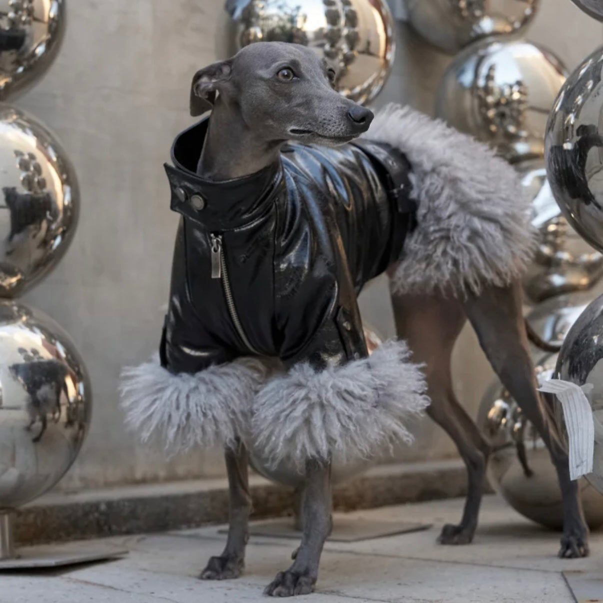 Luxury Faux Fur Dog Jacket