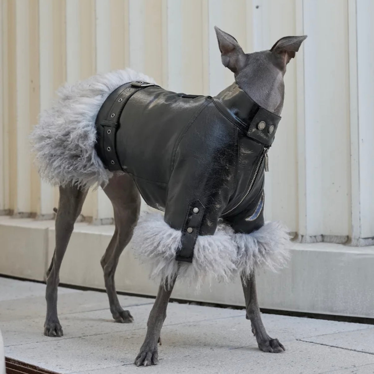 Luxury Faux Fur Dog Jacket