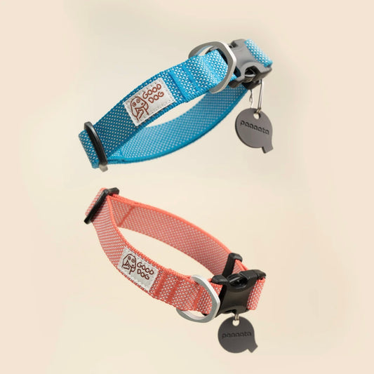 paaaata SuperLight Quick-Dry Dog Collar