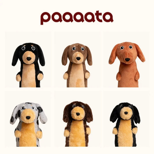 paaaata Dachshund Plush Keychain