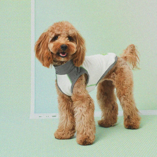 LAZYEAZY Pet Polo Vest