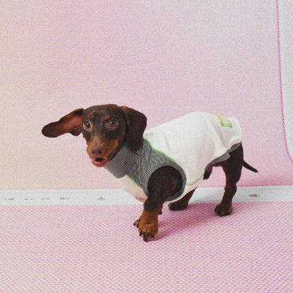 Chaleco polo para mascotas LAZYEAZY