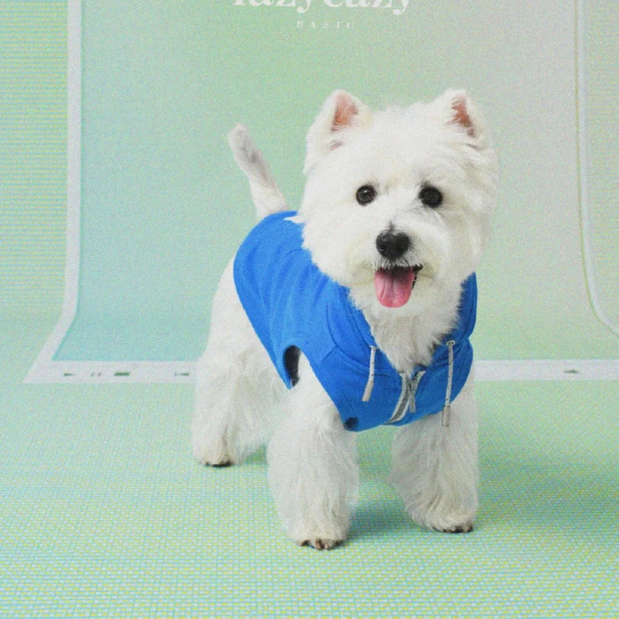 LAZYEAZY Pet Zip-Up Hoodie