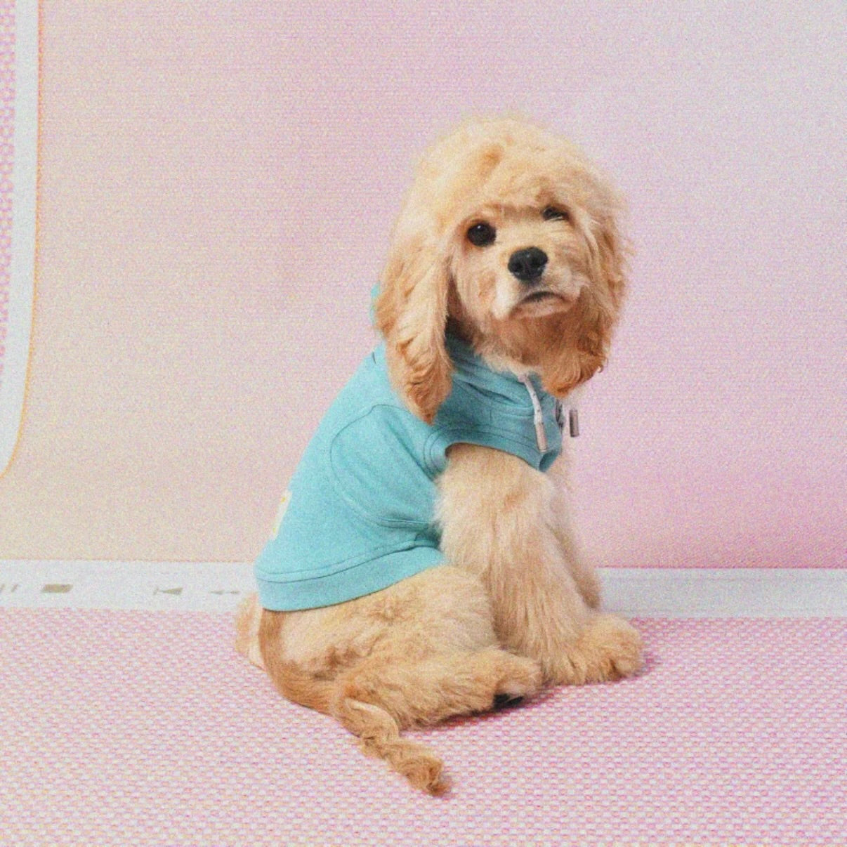 LAZYEAZY Pet Zip-Up Hoodie