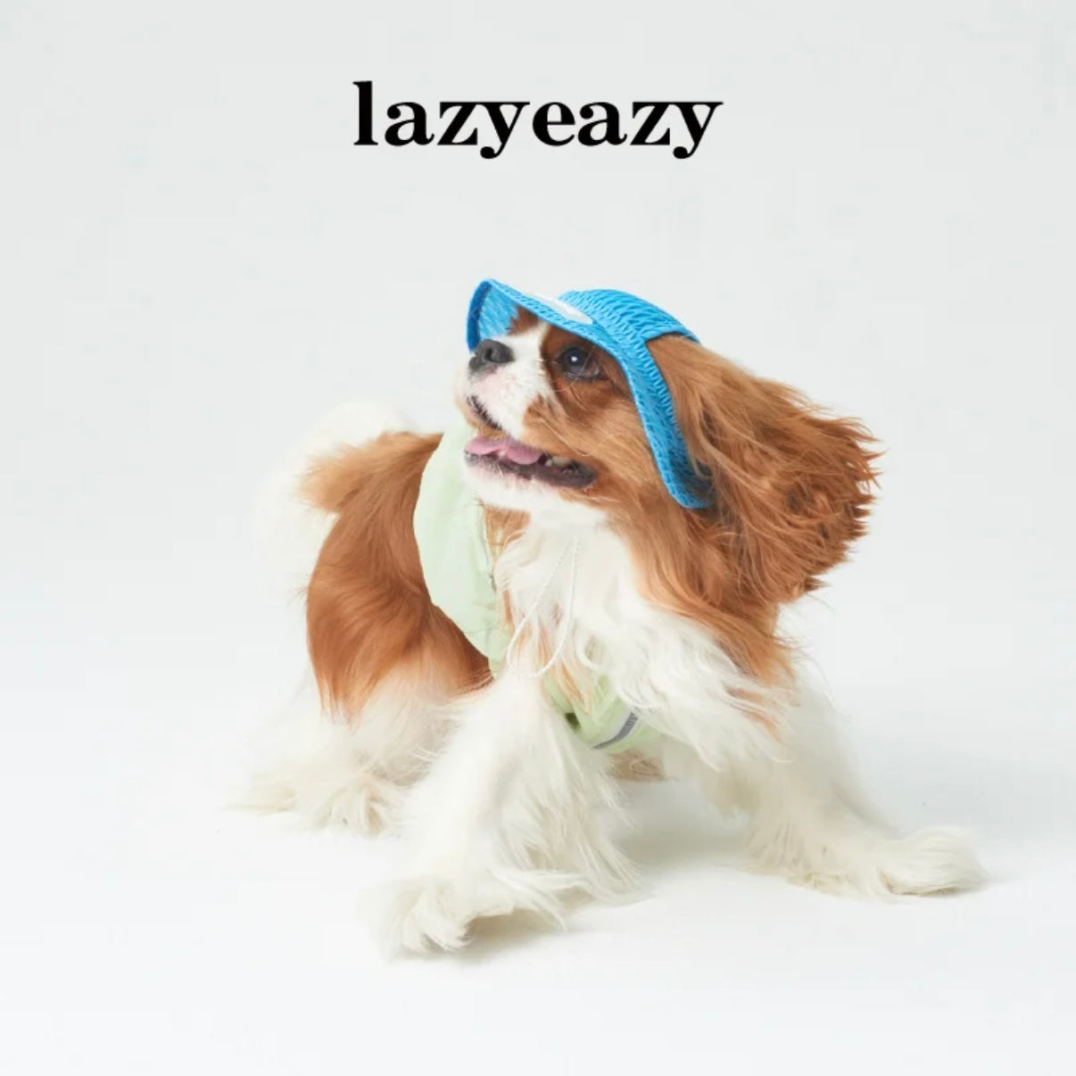 LAZY EAZY Pet Mesh Bucket Hat