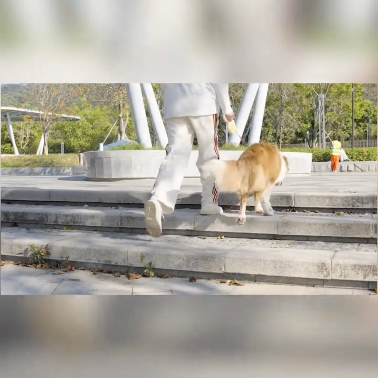 AIWO Automatic Retractable Dog Leash