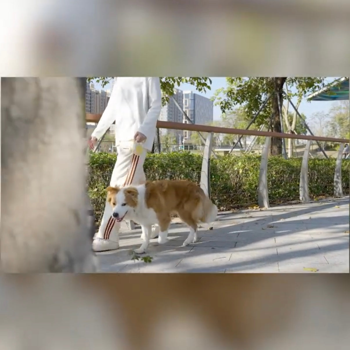 AIWO Automatic Retractable Dog Leash