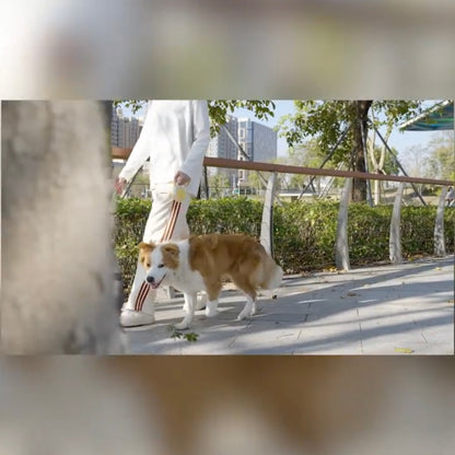 Correa retráctil automática para perros AIWO