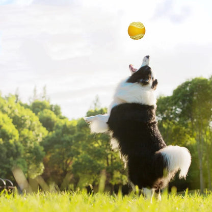 AIWO Pelota de golf mordedor para perros