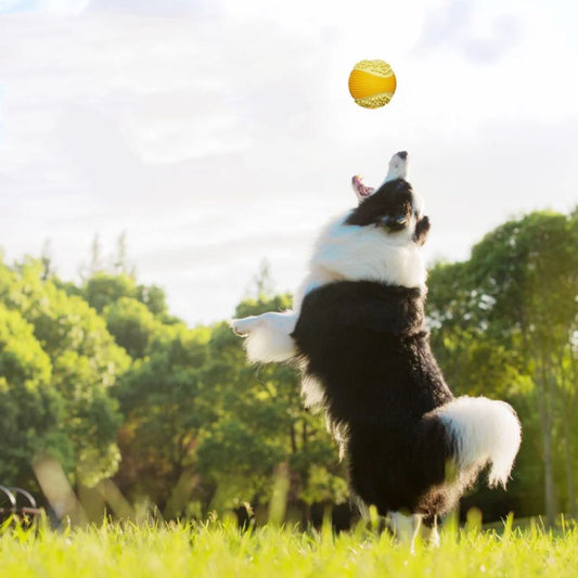 AIWO Golf Ball Chew Toy for Dogs