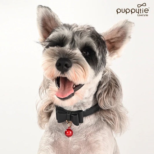 puppytie Personalized Dog Collar with Engraved ID Tag