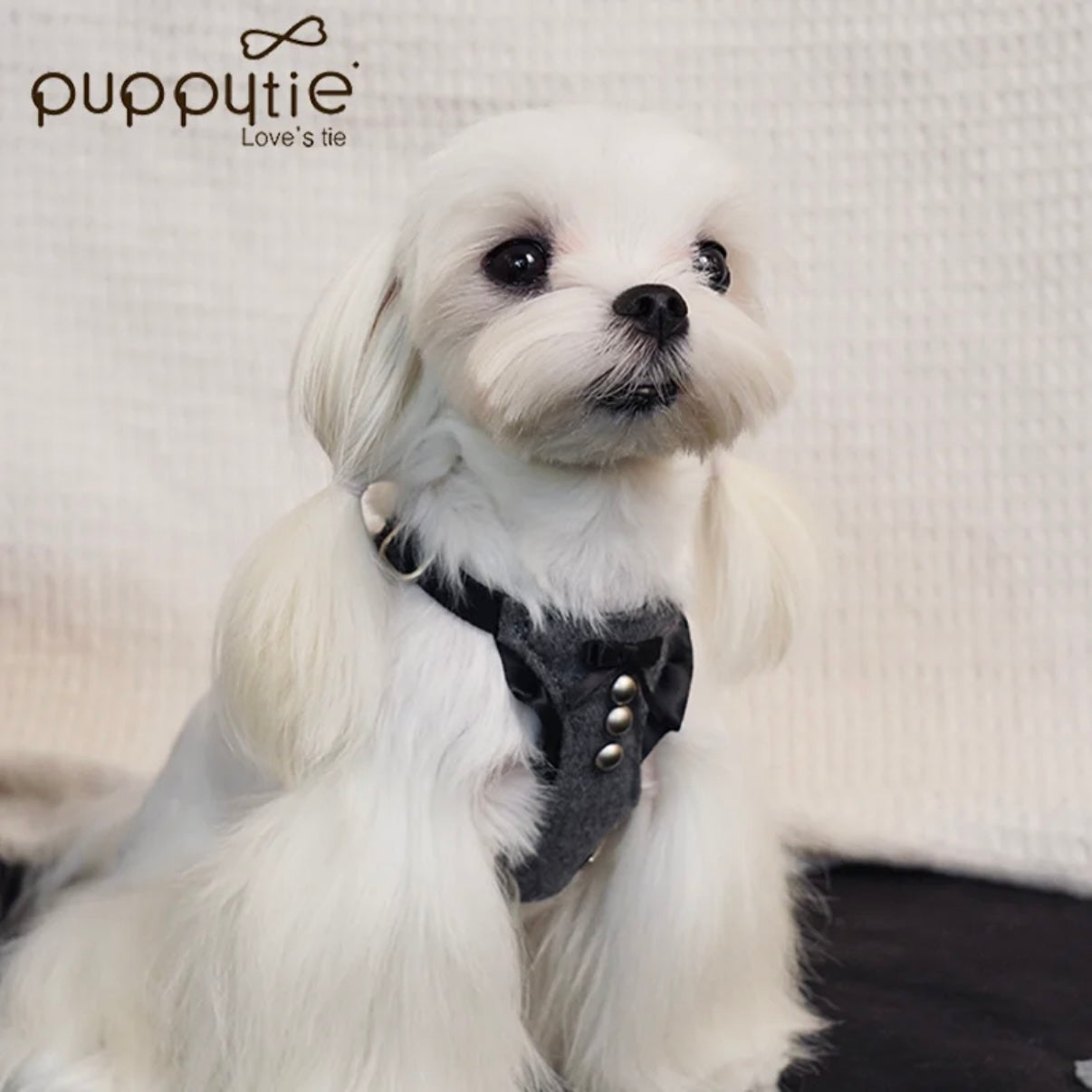 puppytie Luxury Dog Harness & Leash Set