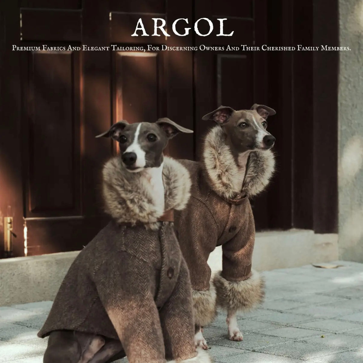 ARGOL Wool Trench Coat for Dogs