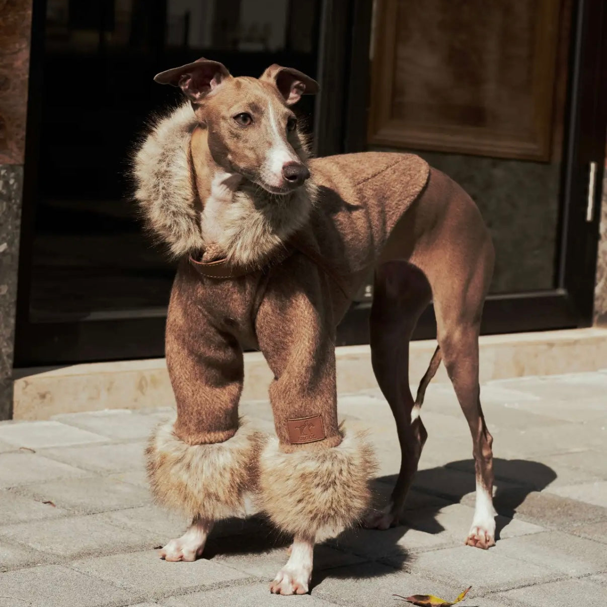 ARGOL Wool Trench Coat for Dogs