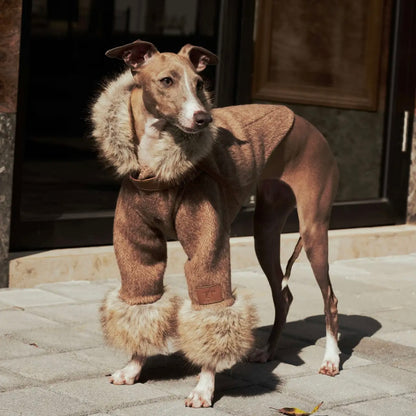 Gabardina de lana ARGOL para perros