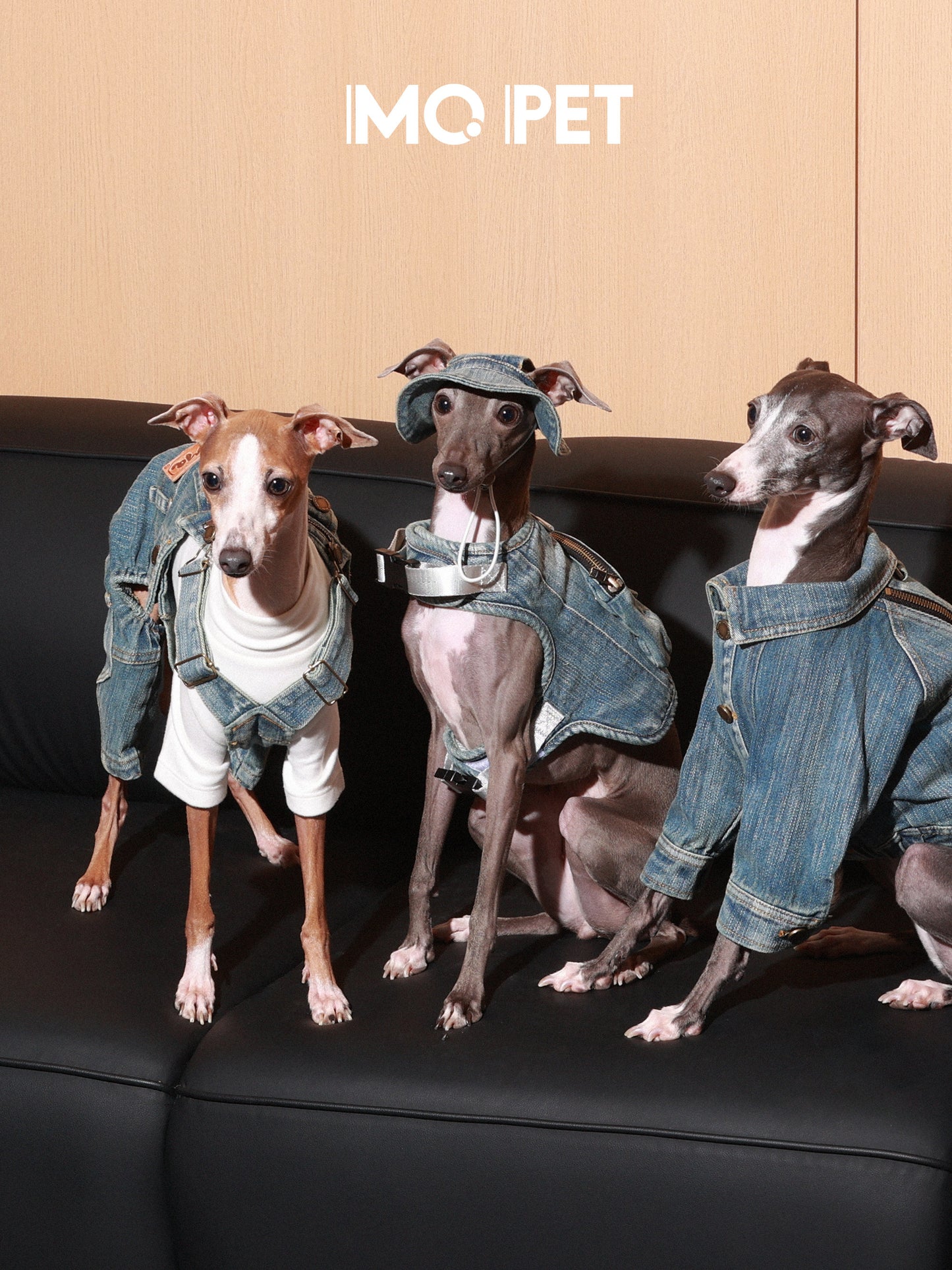 MQPET Washed Denim Adjustable Harness & Hat Set