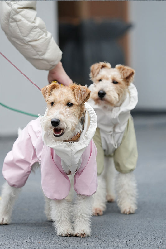 AYIKOKI Waterproof Windproof Dog Jacket