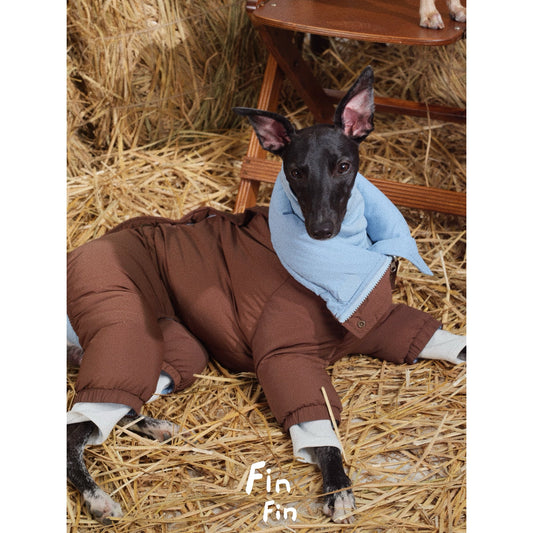 FinFin Reversible Pet Down Jacket