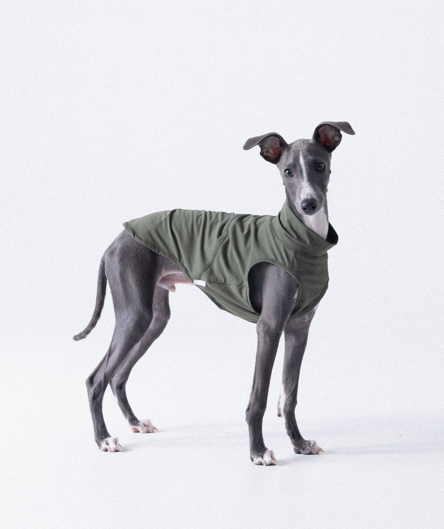 MQPET Summer UPF200+ Antibacterial Cooling Vest