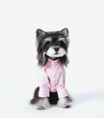 MIU-Style Pink Pet Button-Down Shirt