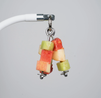 Parrot Multi-Purpose Holder Set
