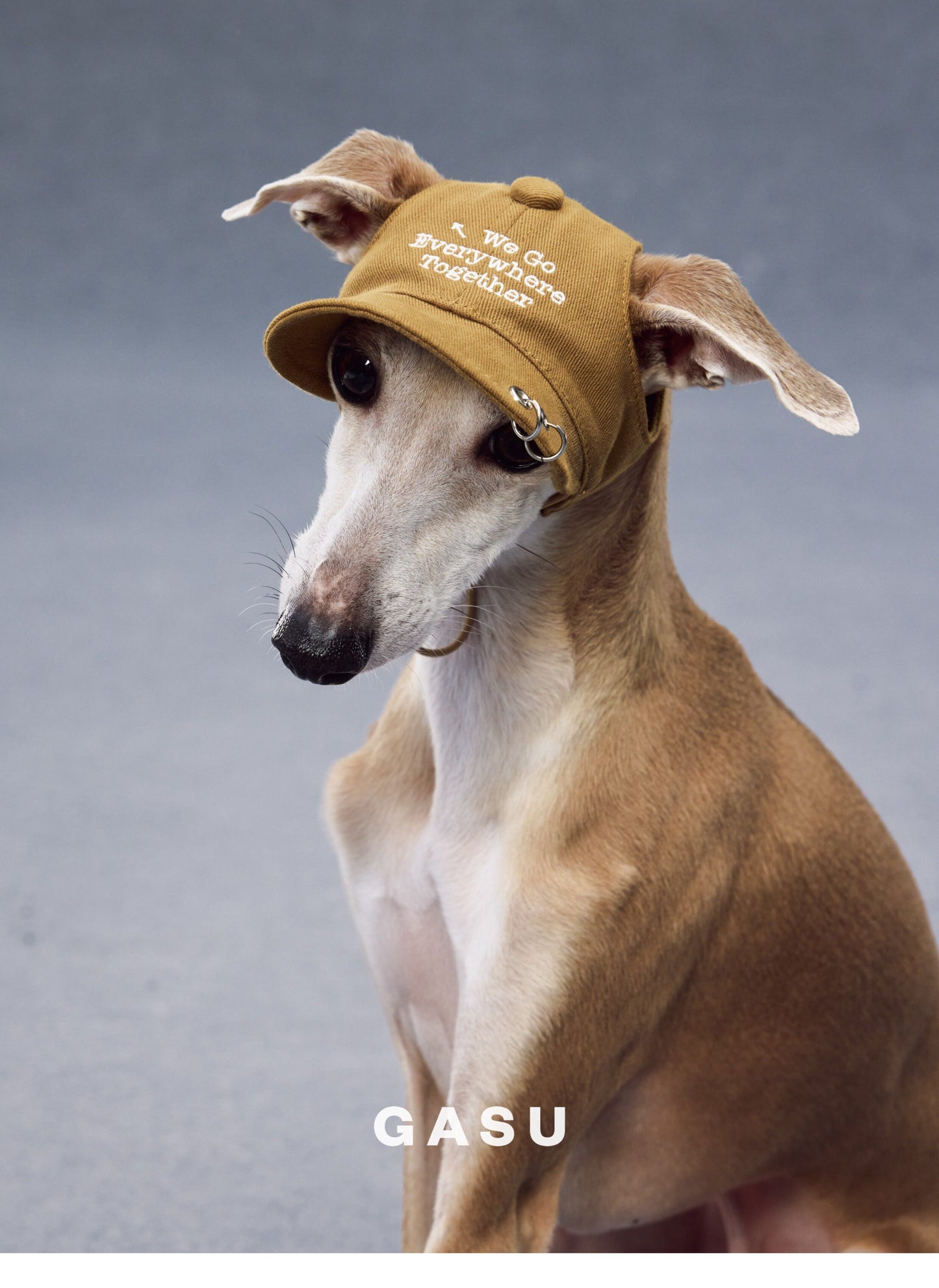 GASU®Moi Vintage Soft Baseball Cap for Dogs & Owners