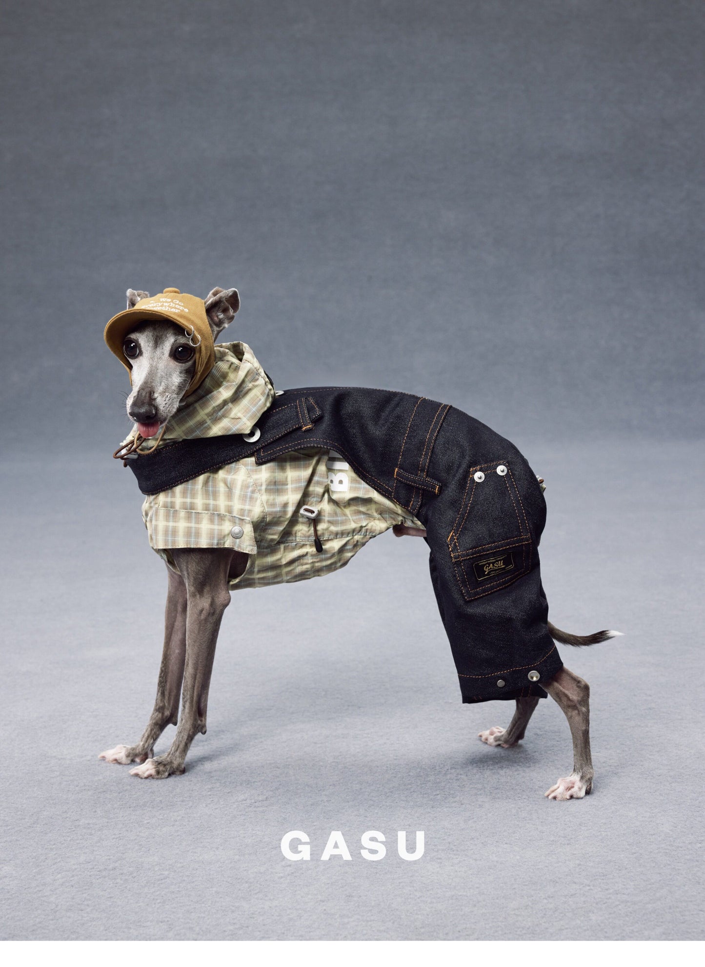 GASU®Moi Vintage Soft Baseball Cap for Dogs & Owners