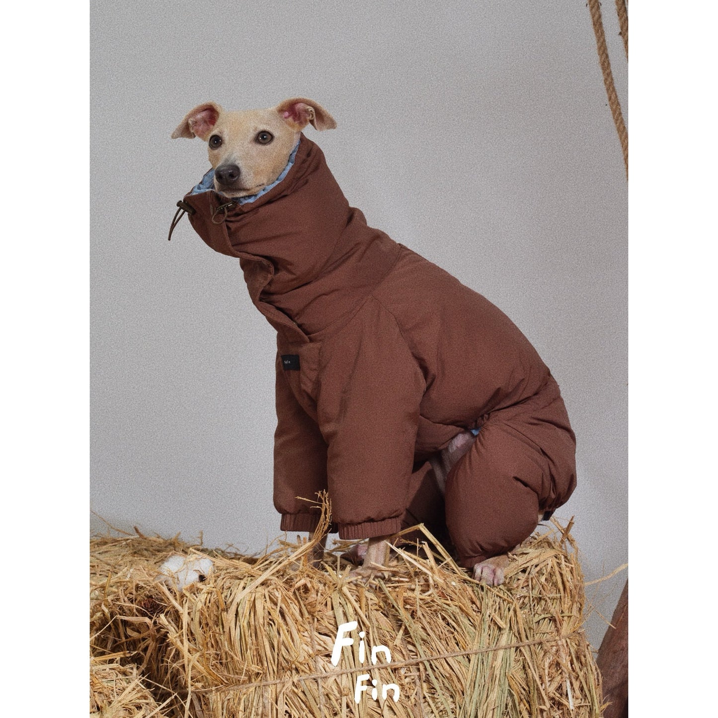 FinFin Reversible Pet Down Jacket