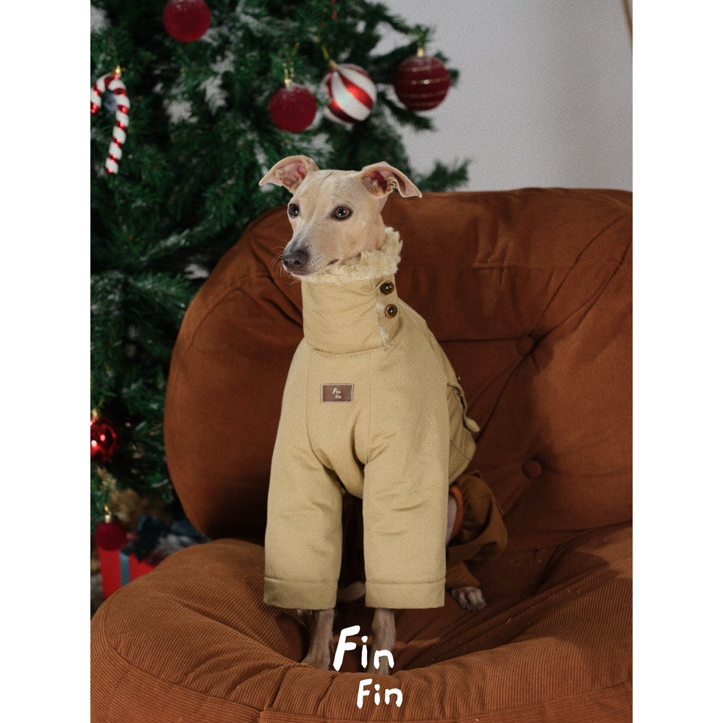 "Bread Crumb" Reversible Pet Windbreaker