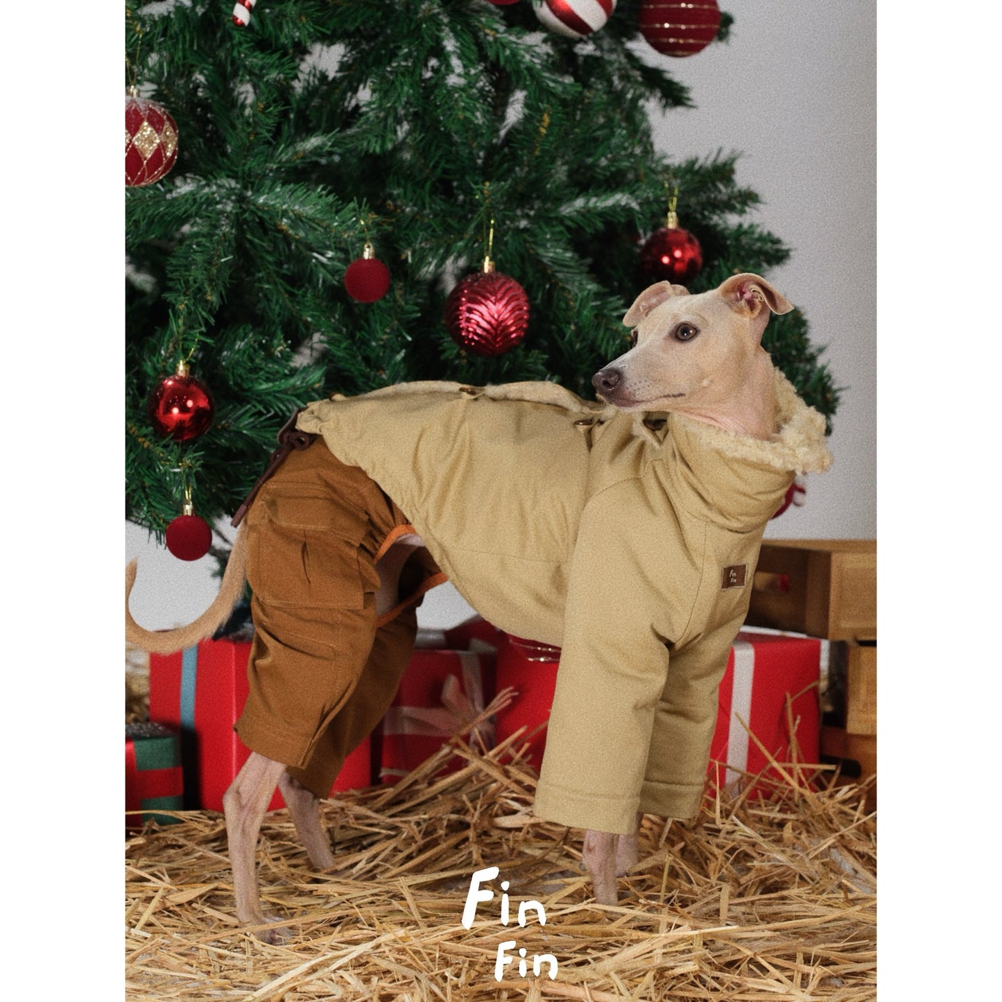 "Bread Crumb" Reversible Pet Windbreaker