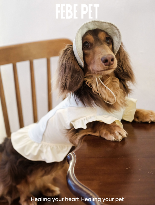FEBE PET Sea Salt Cheese Cooling Sun Skirt