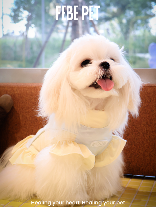 FEBE PET Sea Salt Cheese Cooling Sun Skirt