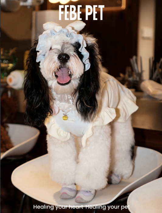 FEBE PET Sea Salt Cheese Cooling Sun Skirt